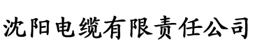 不要插进来电缆厂logo